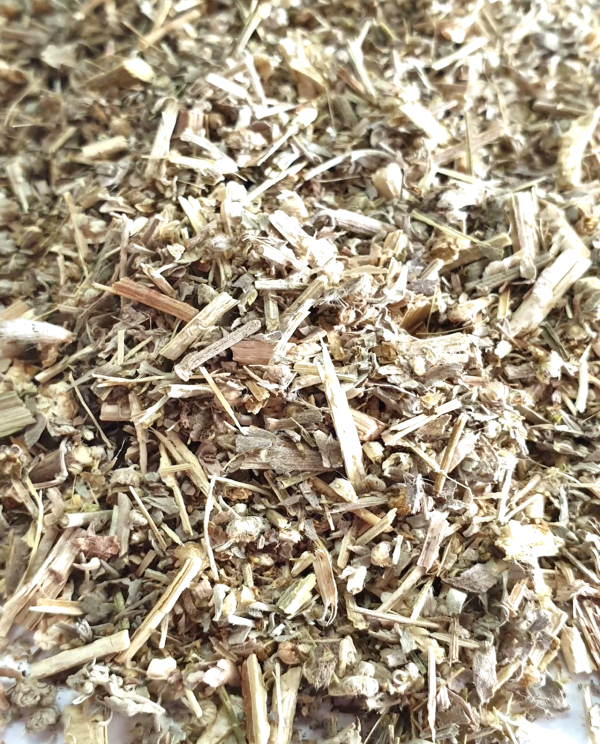 Mugwort