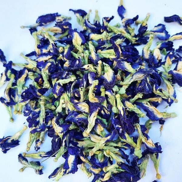 Buttefly pea Butterfly Pea