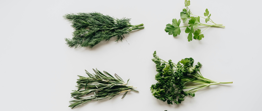 Bunches of fresh herbs on a white surface